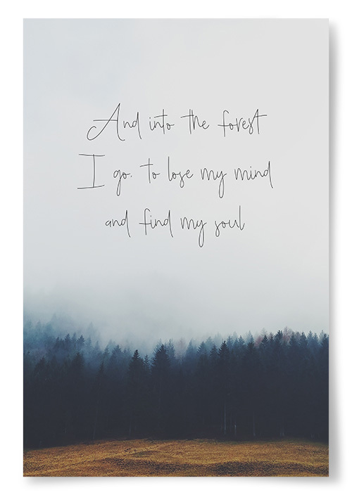 Poster &quot;And into the forest I go...&quot;