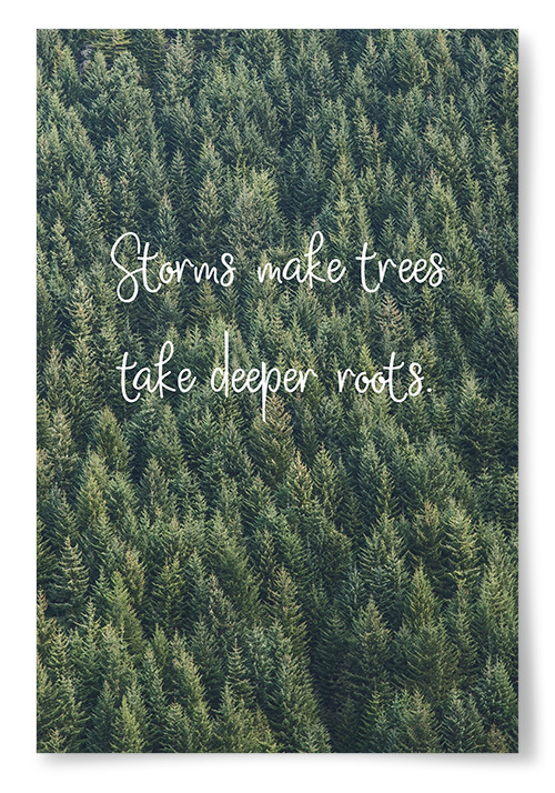 Poster &quot;Storms Make Trees Take Deeper Roots&quot;