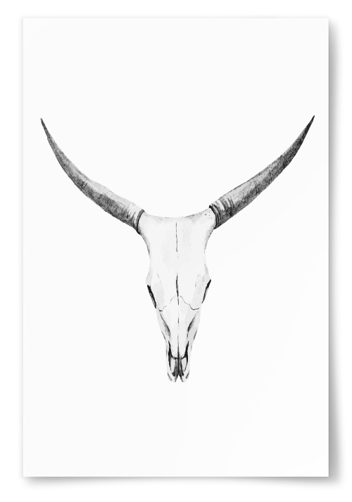 Poster Buffel Skull Teckning