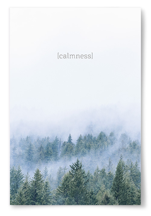 Poster "calmness"