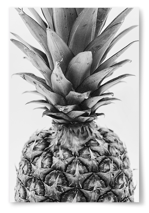 Poster Ananas Svartvit Nrbild