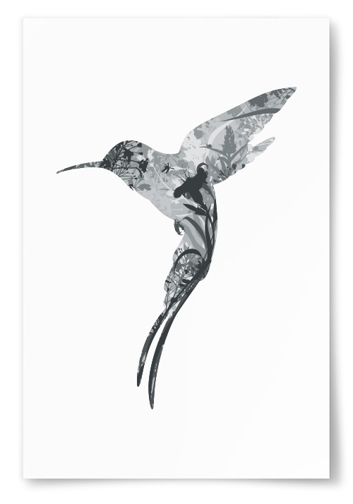 Poster Kolibri Silhuett