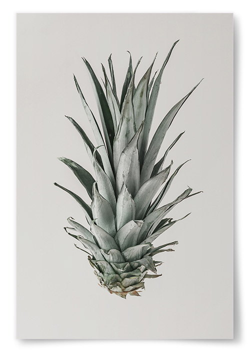 Poster Ananas Krona