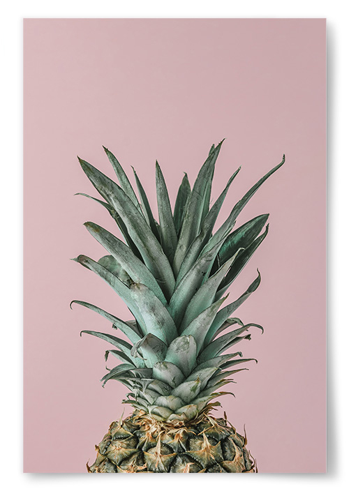 Poster Ananas Rosa 