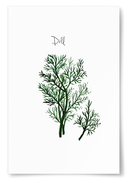 Poster Dill