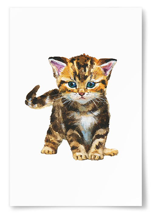 Poster Katt Målning No.1