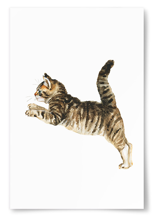 Poster Katt Målning No.2