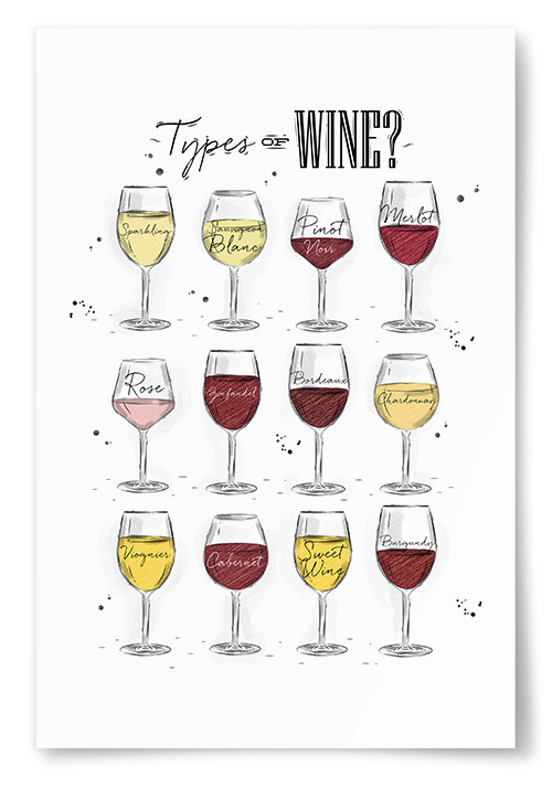 Poster Types Of Wine