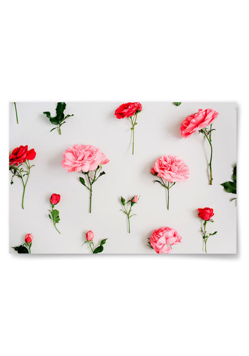 Poster Rosa Blommor Horisontell