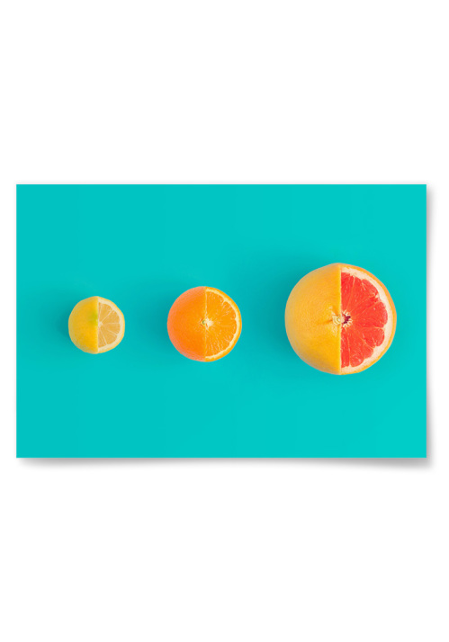 Poster Tre Citrusfrukter