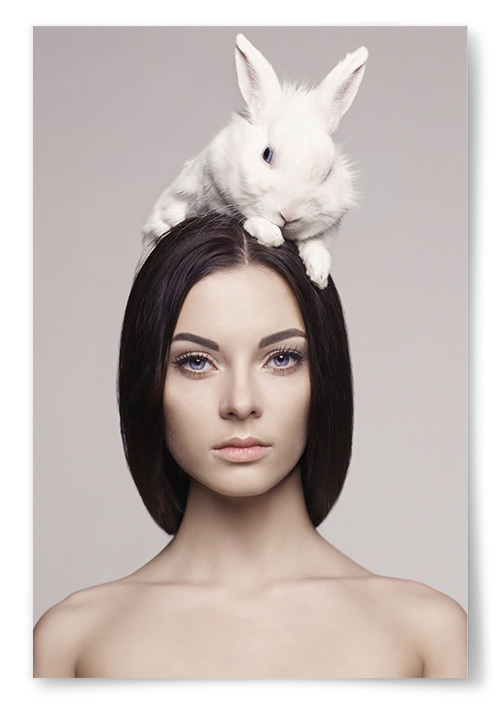 Poster Hare på Kvinnans Huvud